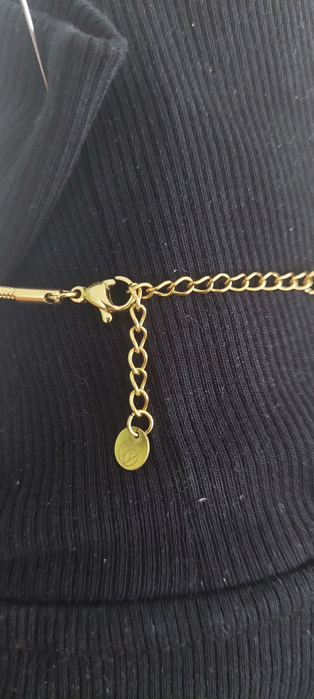 Vergulde Hart Ketting van Roestvrij Staal (S. Steel) – Snake Stijl / Ronde Schakel ✨ – photo 5